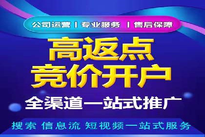 SEM托管代运营服务案例解析